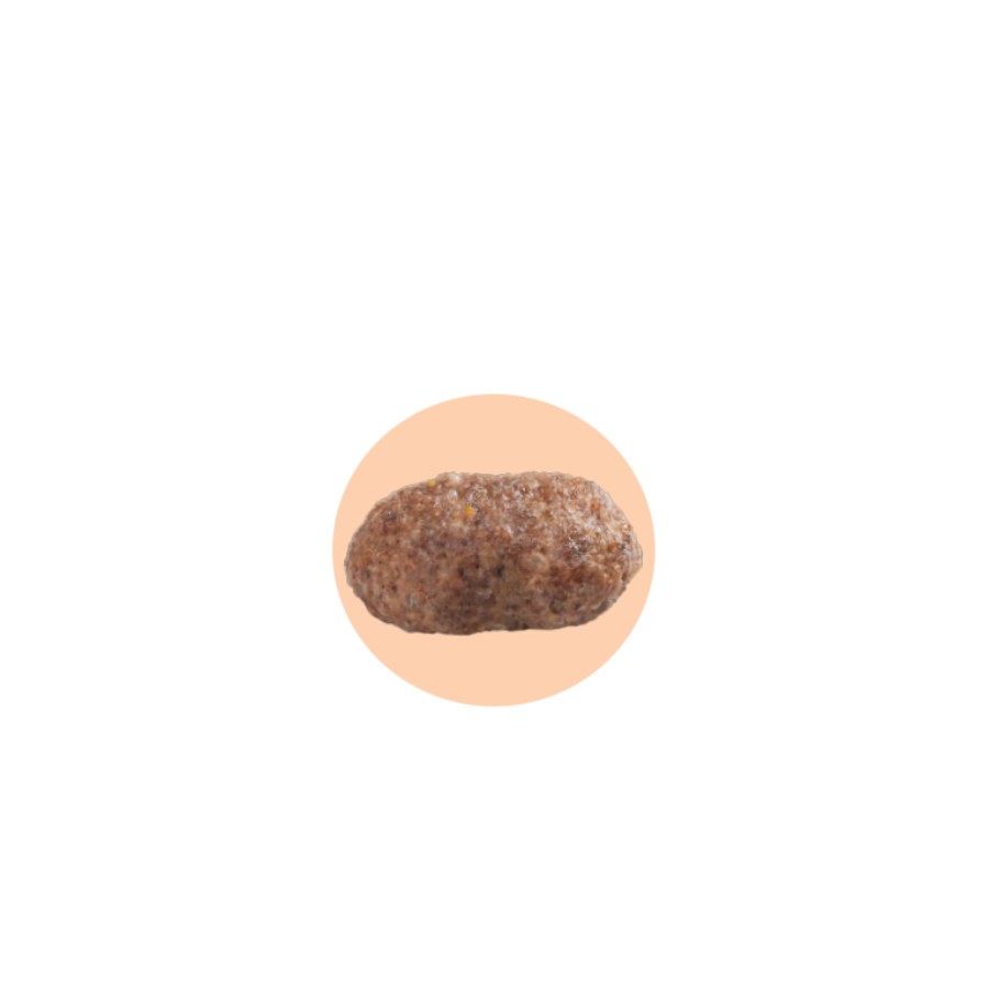 Gran Plus Gourmet Perro Mini Y Pequeño Sabor Cordero & Arroz, , large image number null