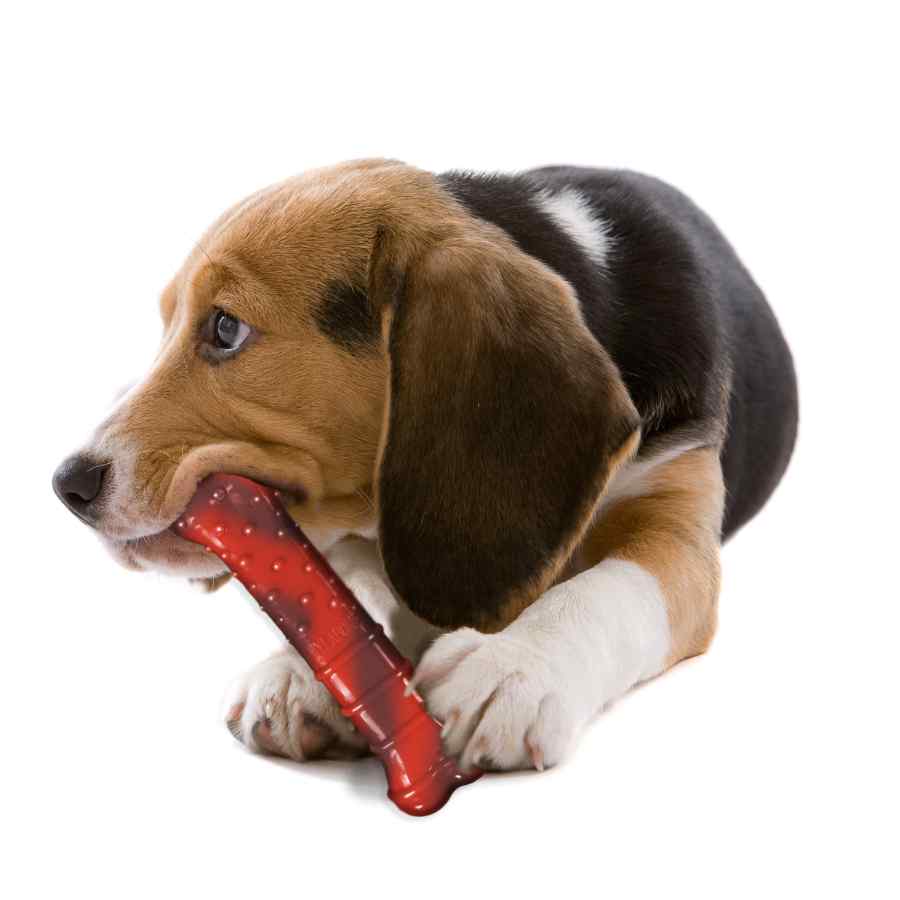 Nylabone Power Chew Huesto Texturizado Sabor Res, , large image number null