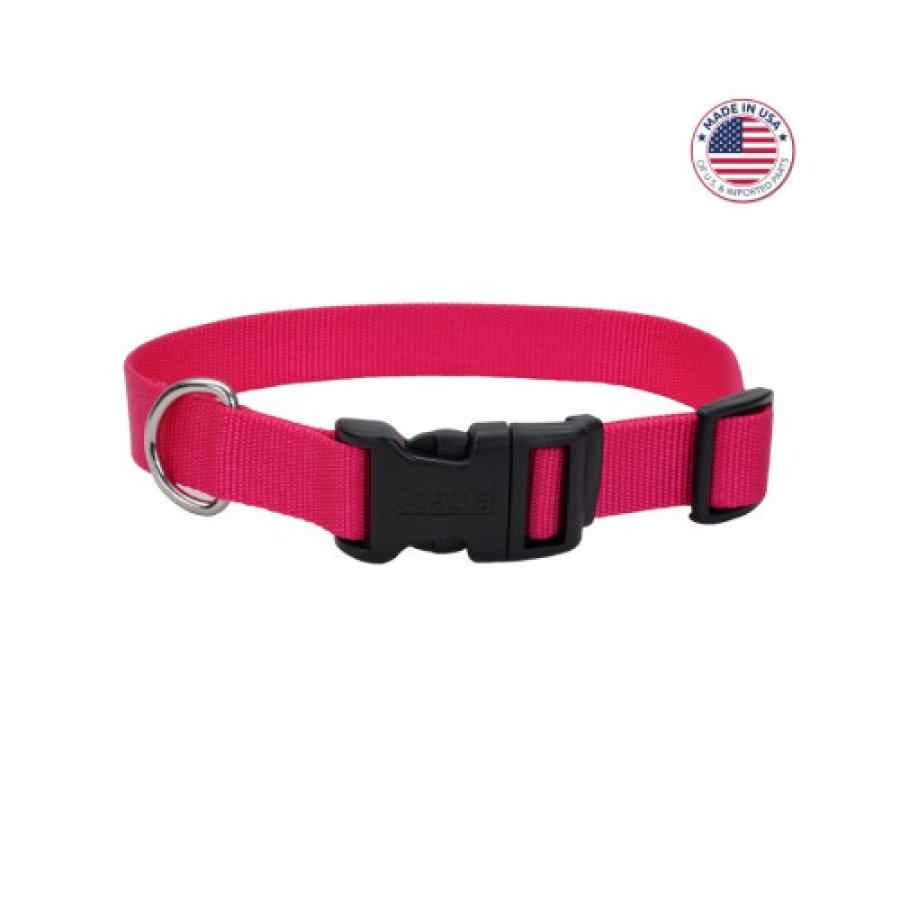 Coastal Adjustable Dog Collar With Plastic Buckle, Pink Flamingo, Large 1" X 18" 26", , large image number null