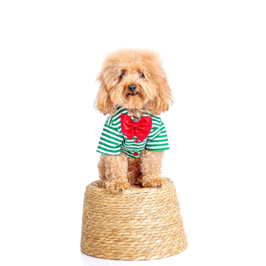 Lmb Camisa Navidad Rayas, , large image number null