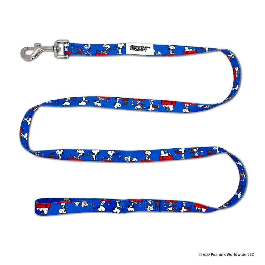 Correa Snoopy Peanuts Azul, , large image number null