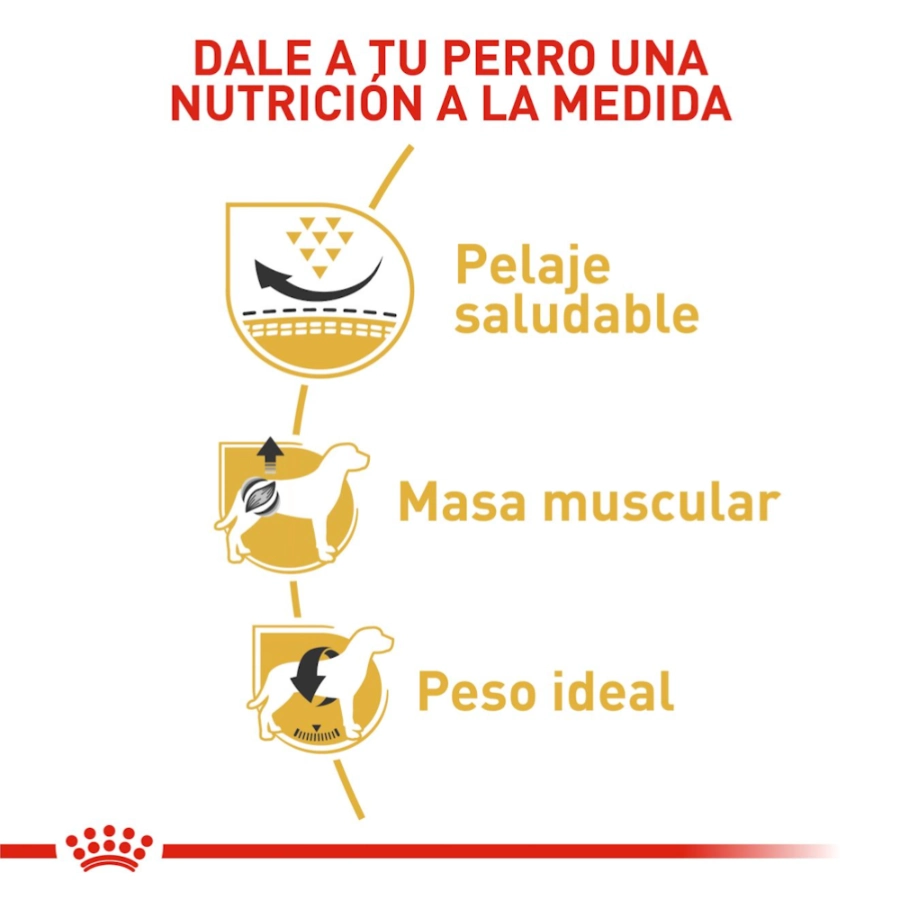 Royal Canin Perro Bhn Pug Adult 3 Kg, , large image number null