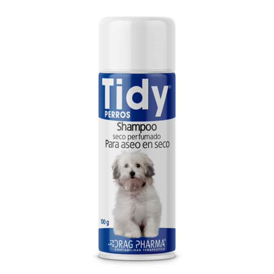 Dragpharma Tidy Perros Shampoo Seco X 100 Gr Pe0015