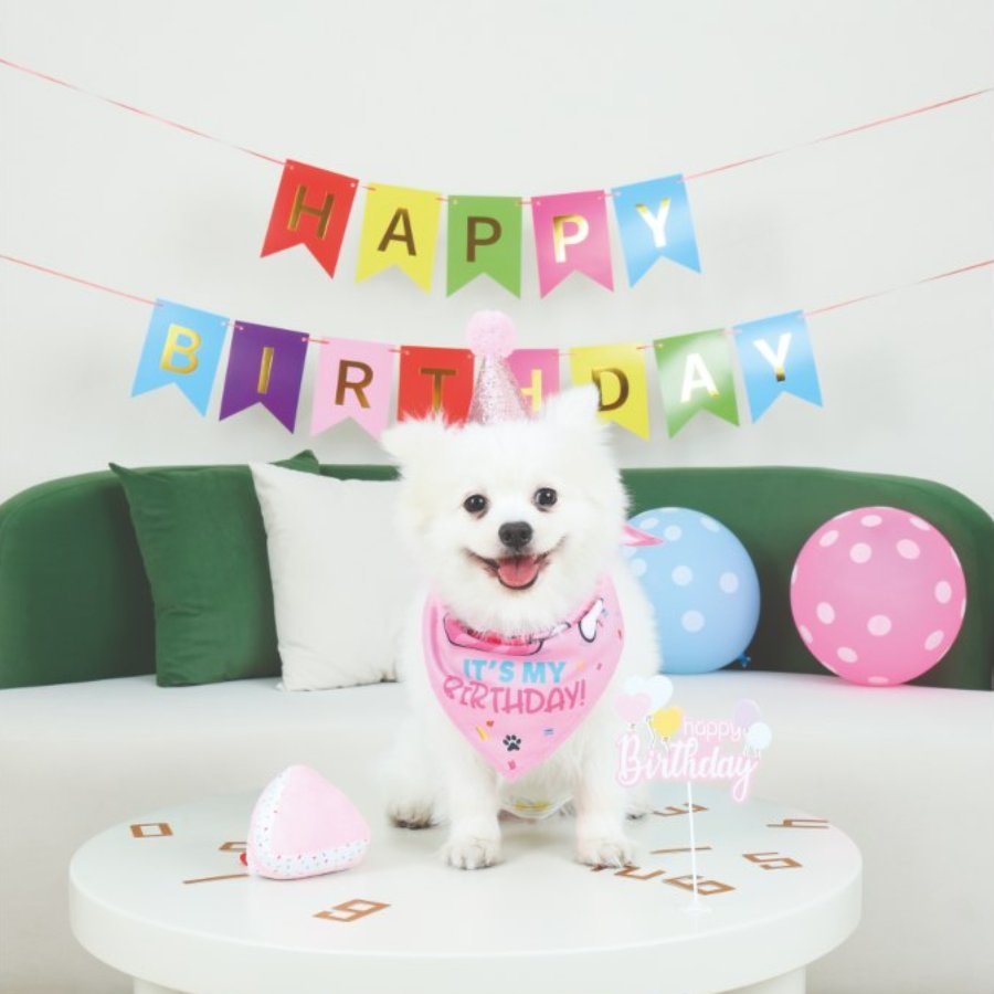 Petjoy Partytime Dog Lady'S Set, , large image number null