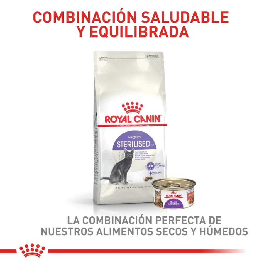 Royal Canin Gato Fhn Sterilised 37, , large image number null
