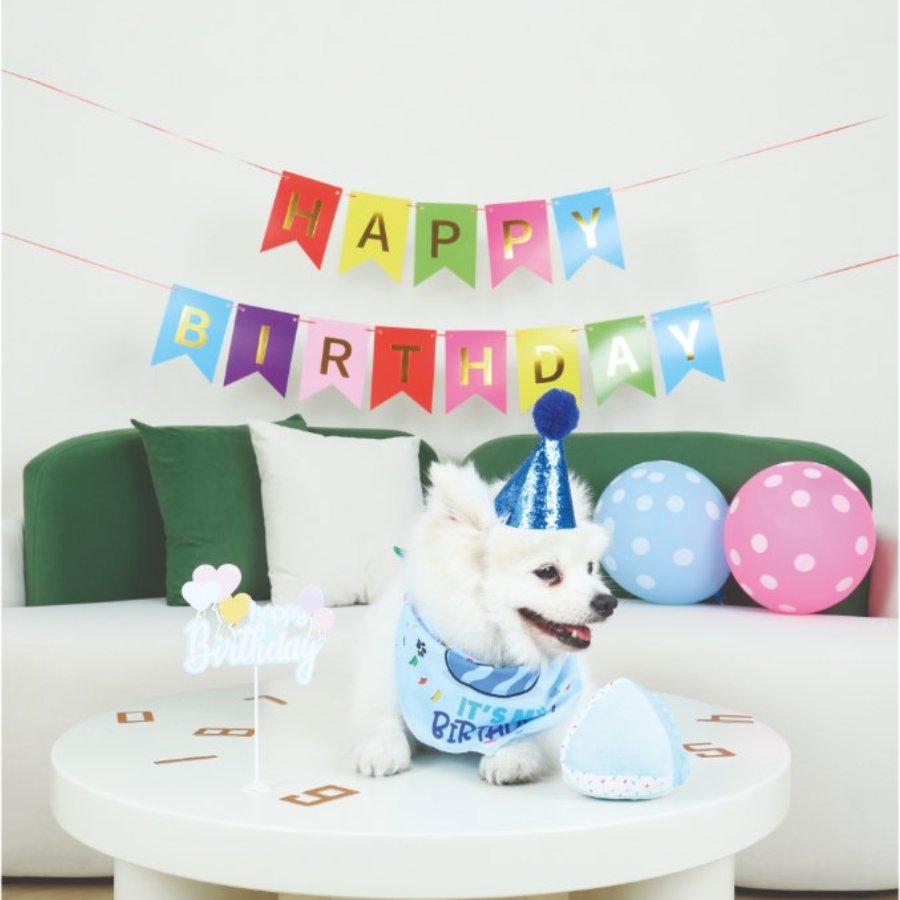 Petjoy Partytime Dog Gentleman'S Set, , large image number null
