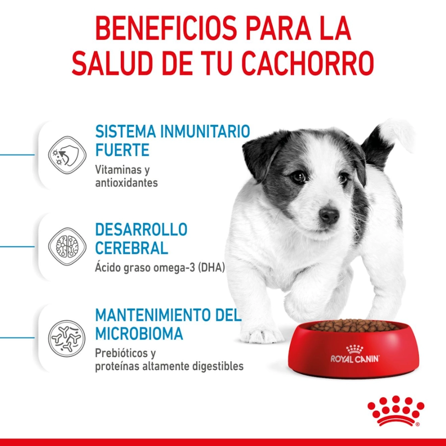 Royal Canin Perro Shn Mini Puppy 4Kg, , large image number null
