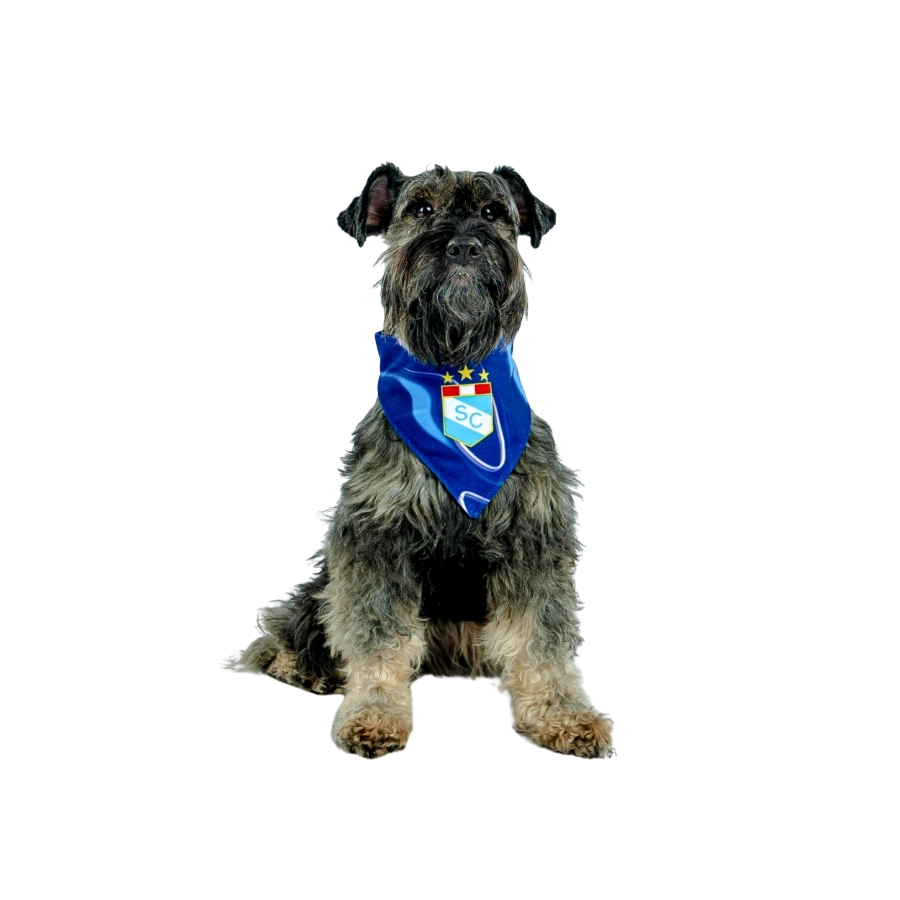 Bandana Reversible De Luxe Sporting Cristal, , large image number null