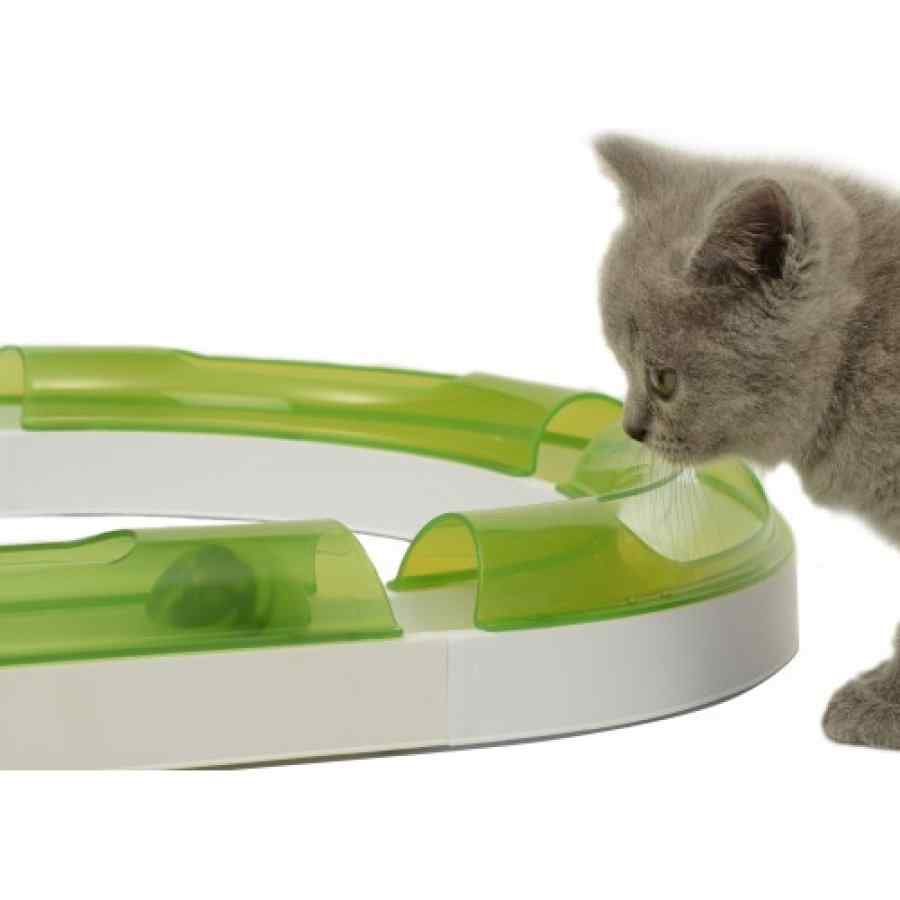 Cat It Senses 2.0 Play Circuit, , large image number null