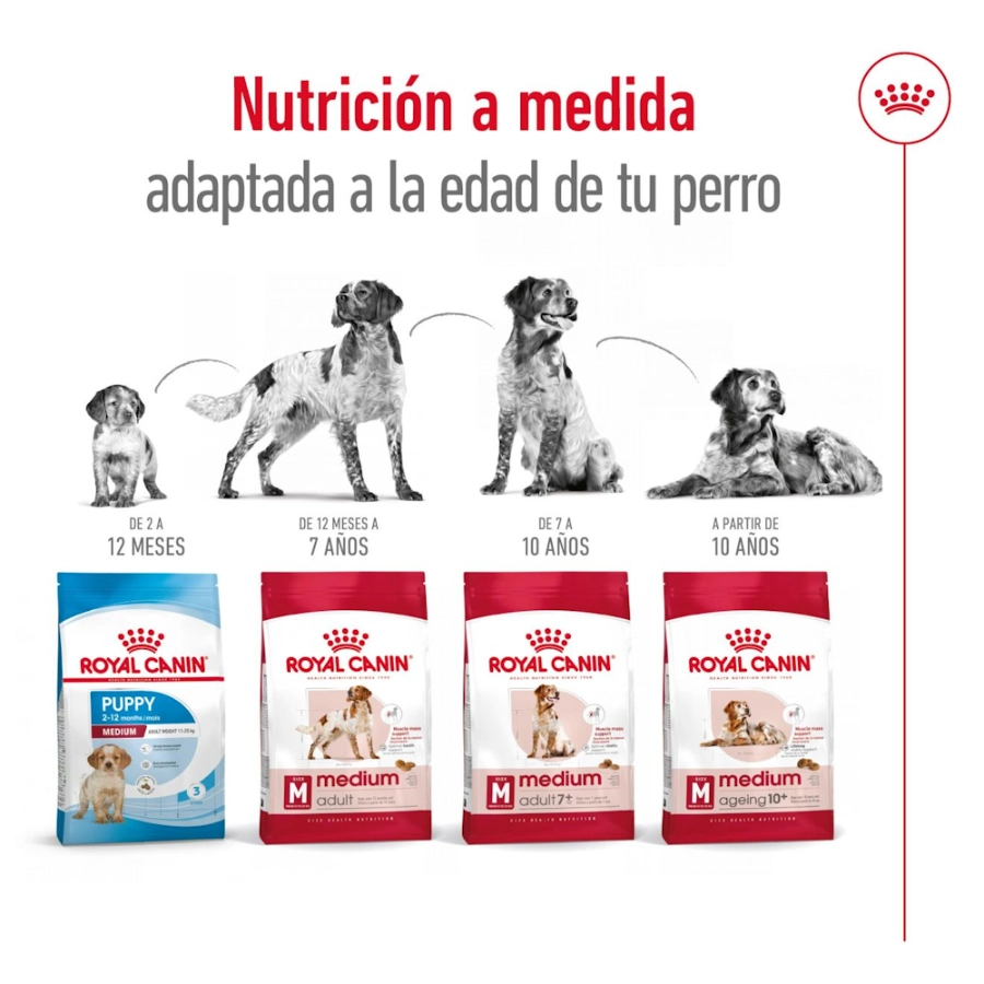 Royal Canin Perro Shn Medium Adult, , large image number null