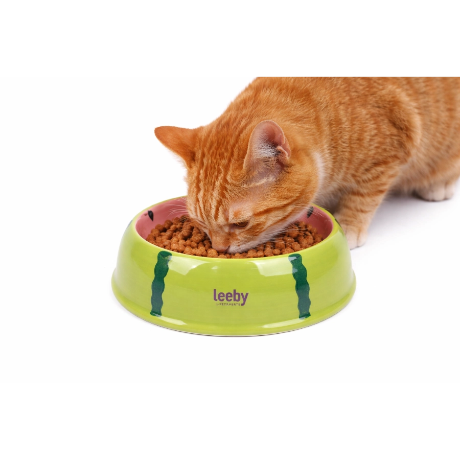 Comedero Cer&aacute;mico Leeby 150 Ml, , large image number null