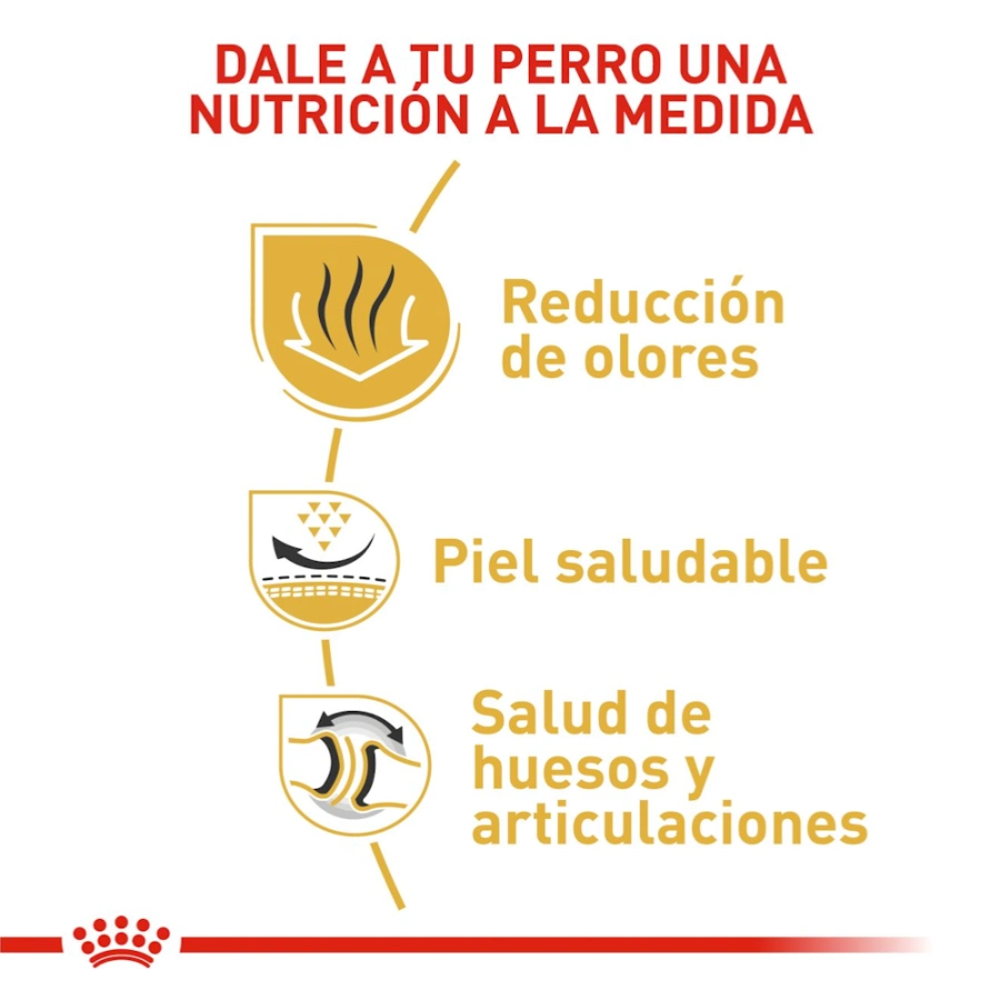 Royal Canin Perro Bhn Bulldog Adult 3Kg, , large image number null