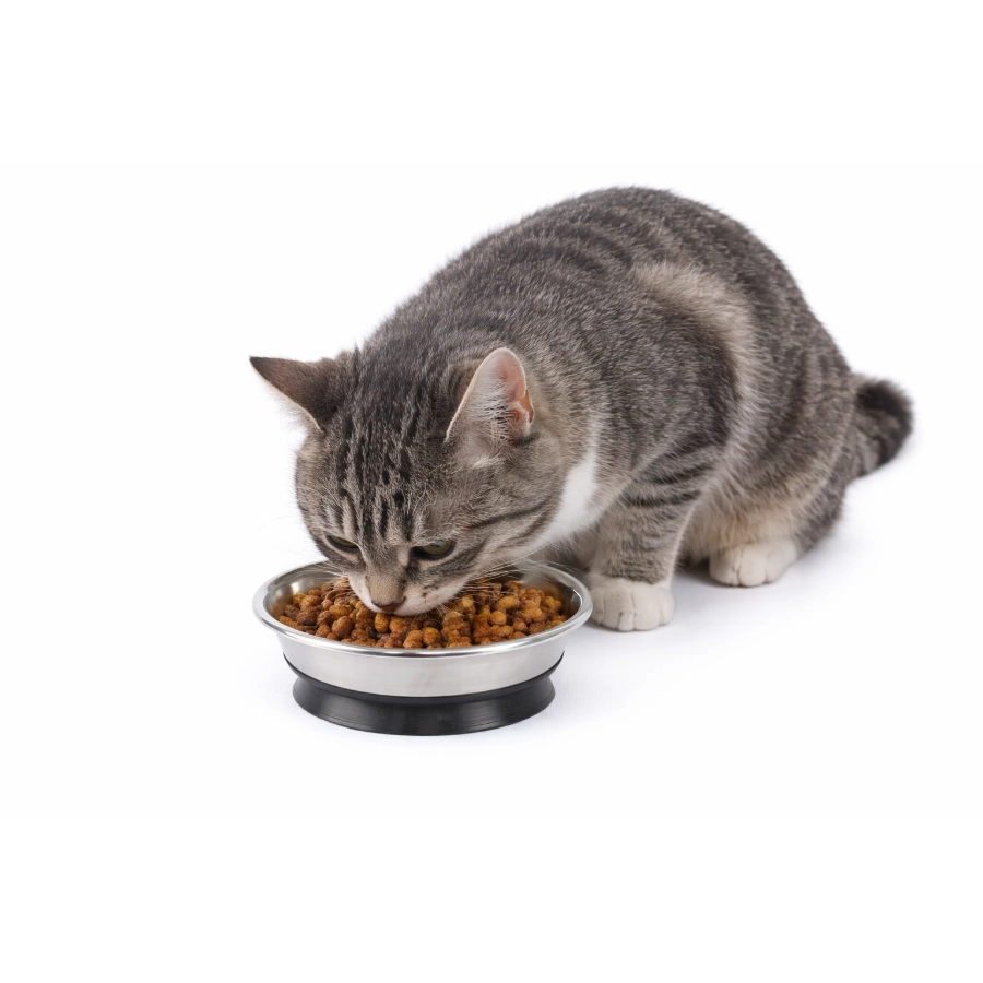 Plato Para Gato Con Ventosa Leeby 190 Ml, , large image number null