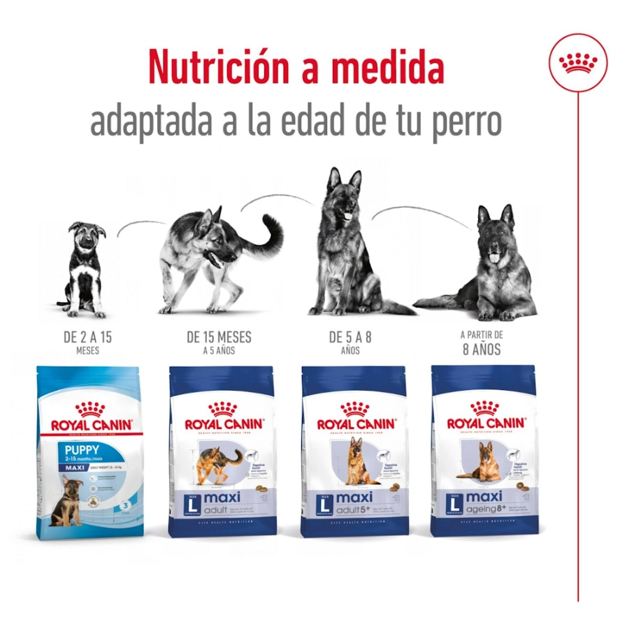Royal Canin Perro Shn Maxi Adult 15 Kg, , large image number null