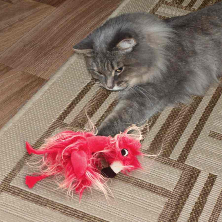 KONG Softies Frizz Bird Assorted, , large image number null
