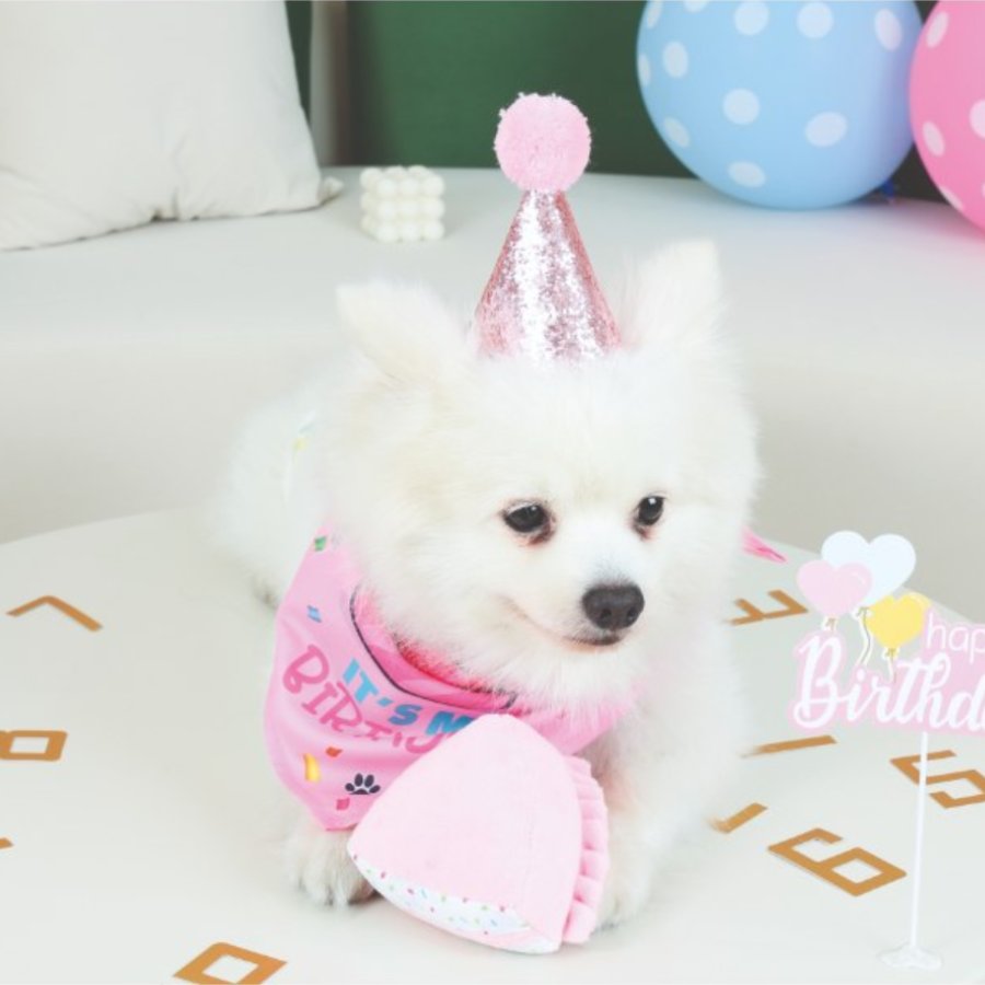 Petjoy Partytime Dog Lady'S Set, , large image number null