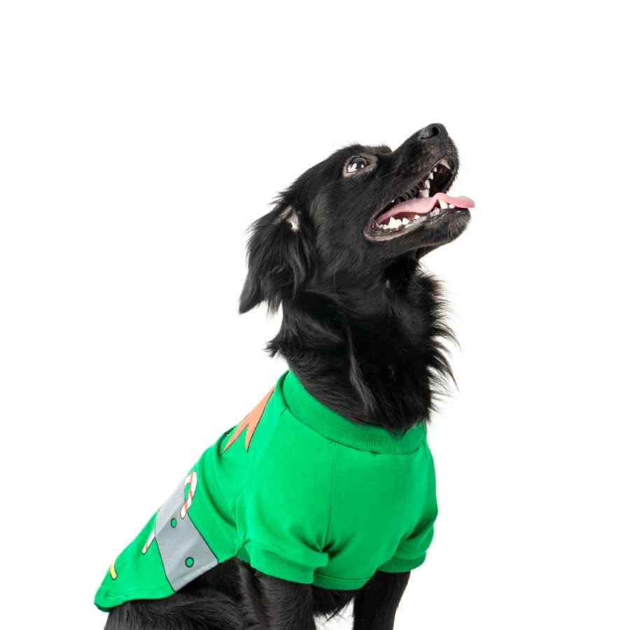 Polo Duende, , large image number null