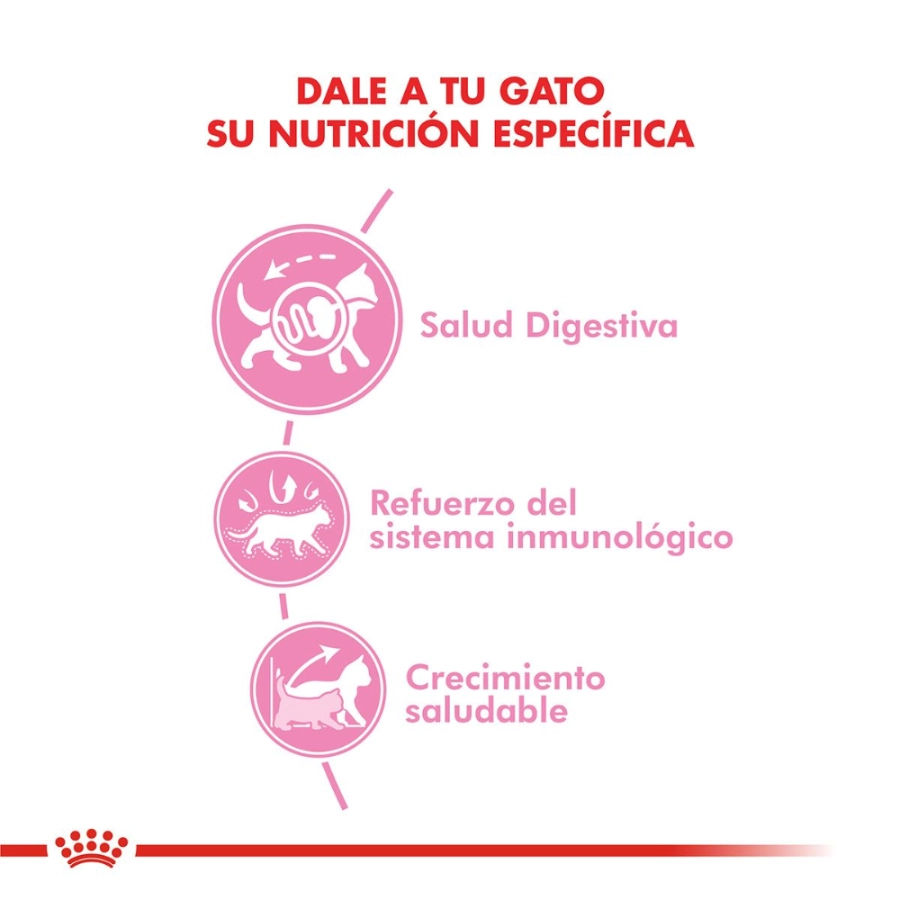 Royal Canin Fhn Kitten Fd 400G, , large image number null
