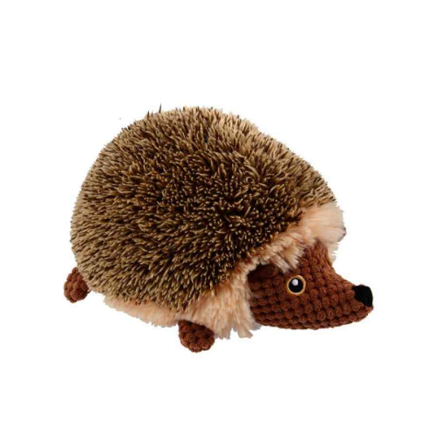 Fluffy Wild Hedgehog
