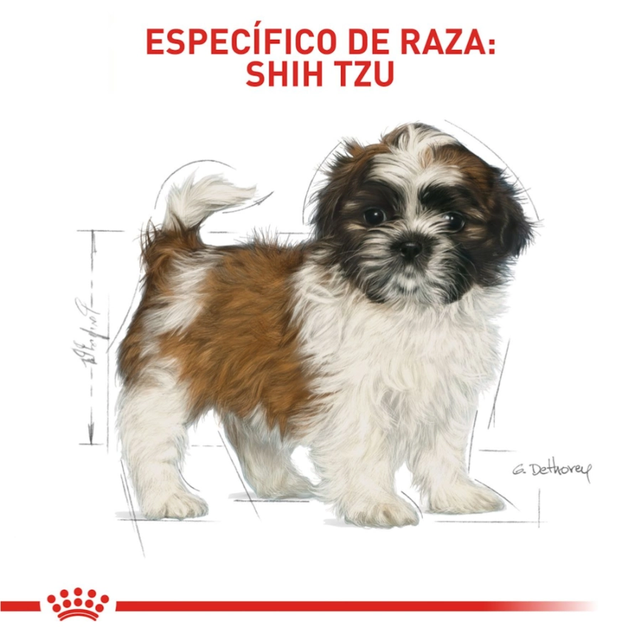Royal Canin Perro Bhn Shih Tzu Puppy 1.5 Kg, , large image number null