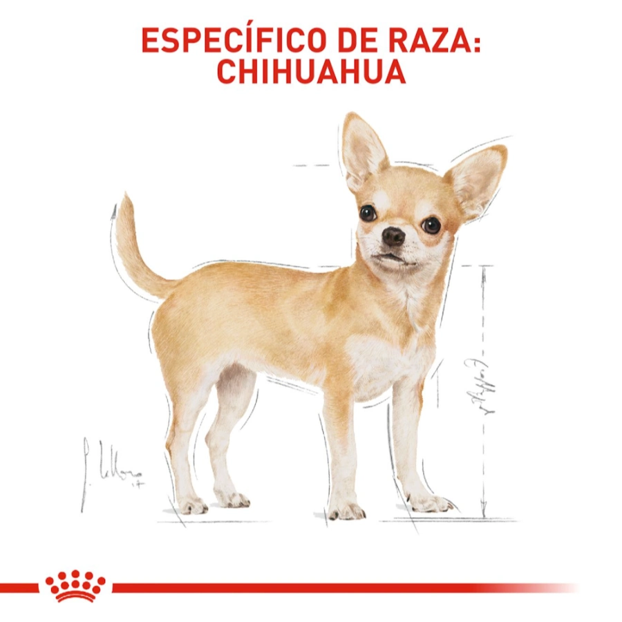 Royal Canin Perro Bhn Chihuahua 85 g, , large image number null