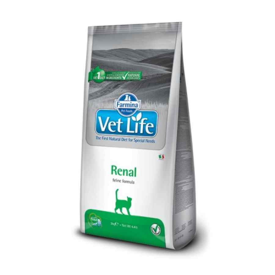 Vetlife Renal 2 Kg, , large image number null