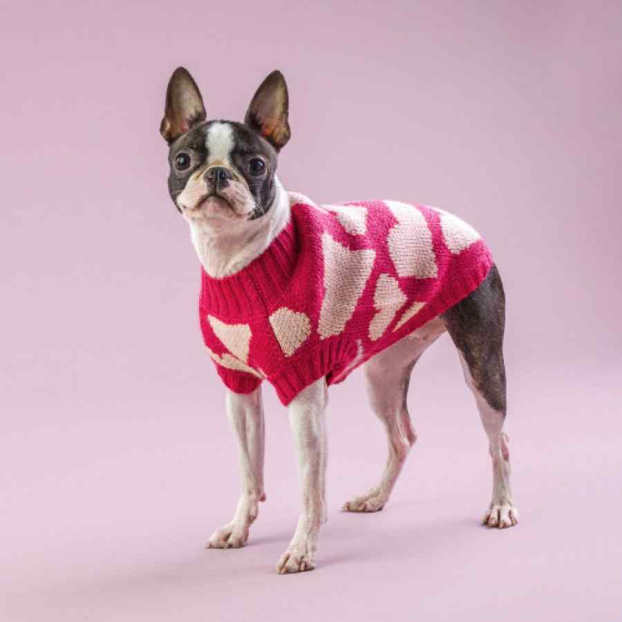 Sweater Para Perro Heart , , large image number null