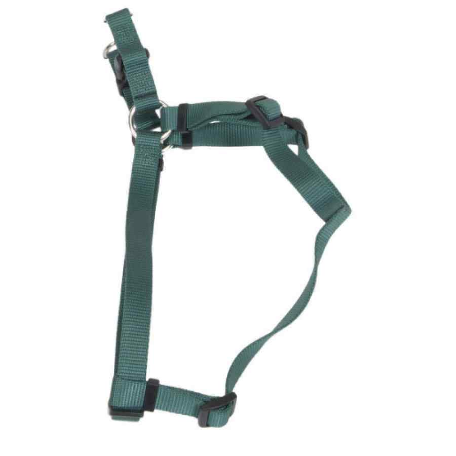 Coastal Comfort Wrap Adjustable Dog Harness, Hunter