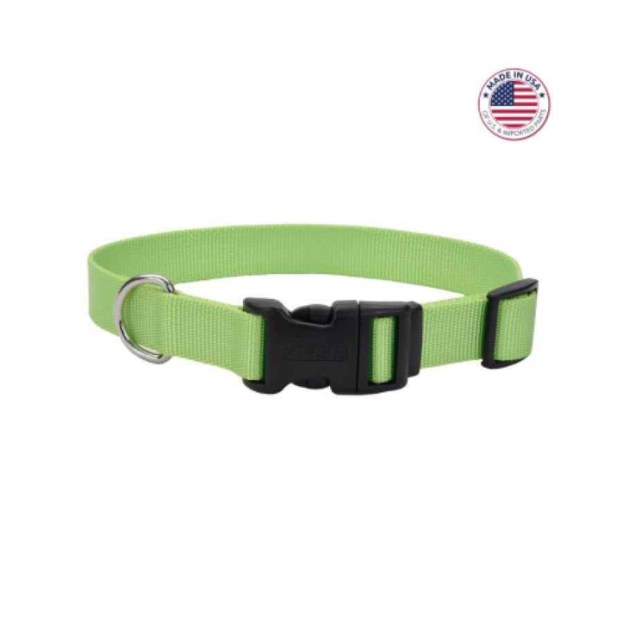 Coastal Adjustable Dog Collar With Plastic Buckle, Lime, Large 1" X 18" 26"