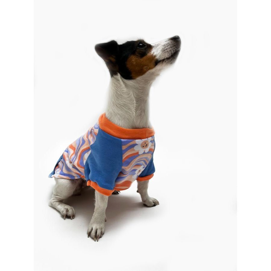 Yupi The Pug - Polo Surtido Hembra