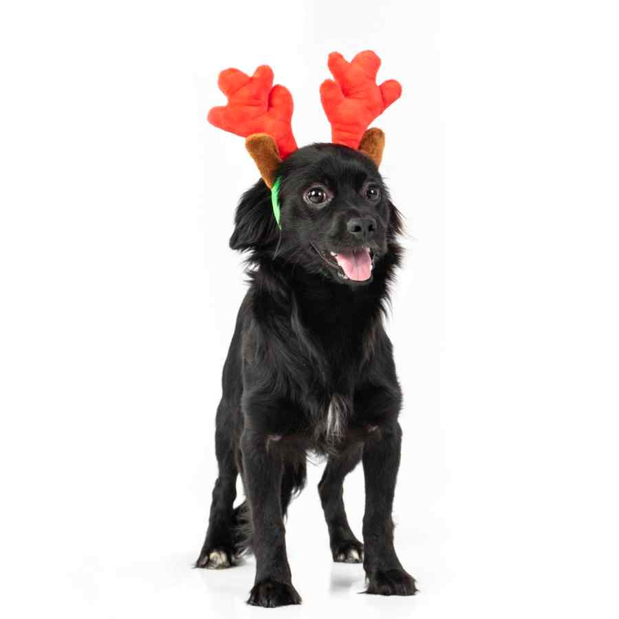 Wonder Christmas Reindeer Tiara, , large image number null