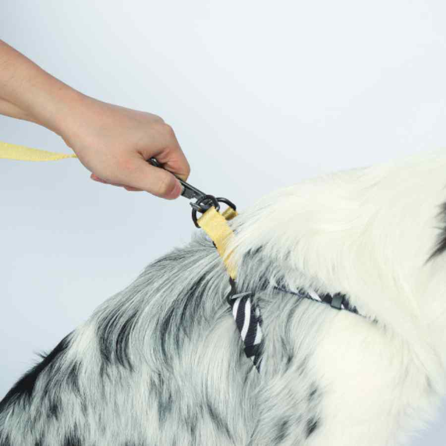Wild Safari Harness, , large image number null