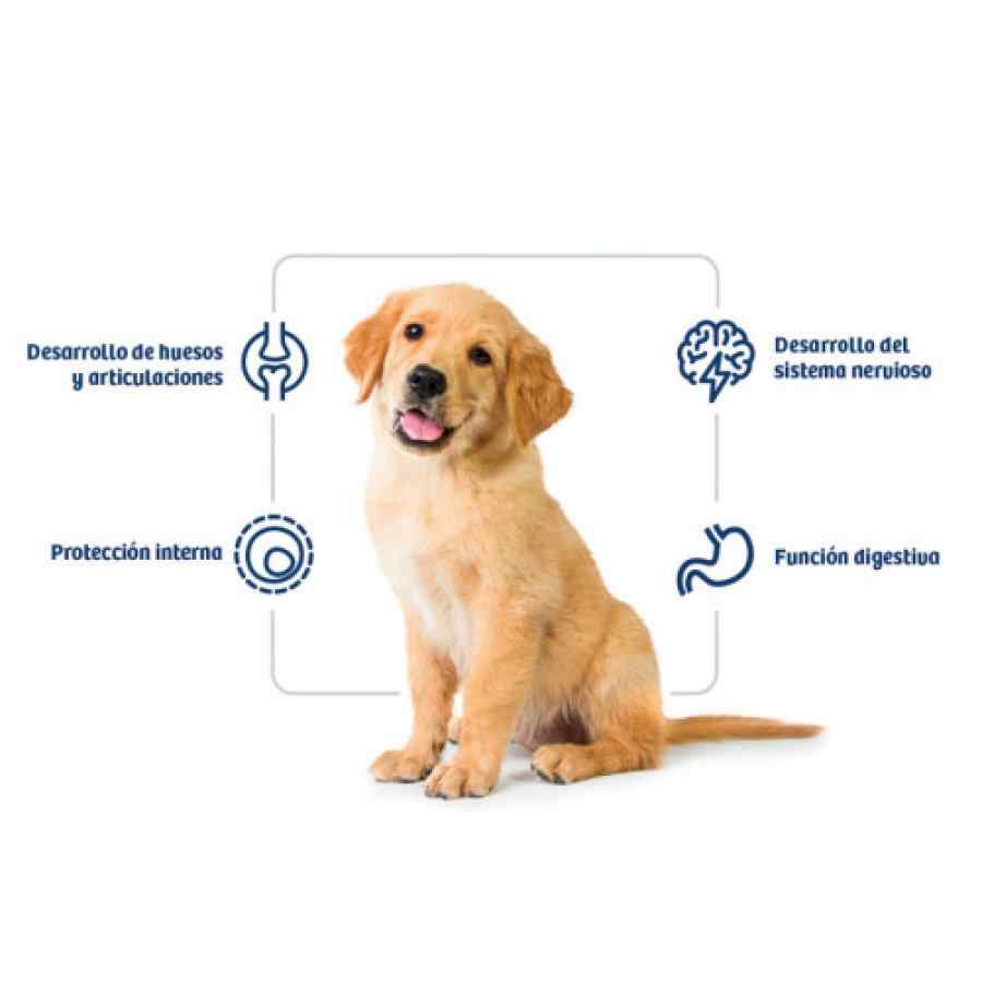 Nath Dog Puppy Medium Maxi Alimento Seco Perro, , large image number null