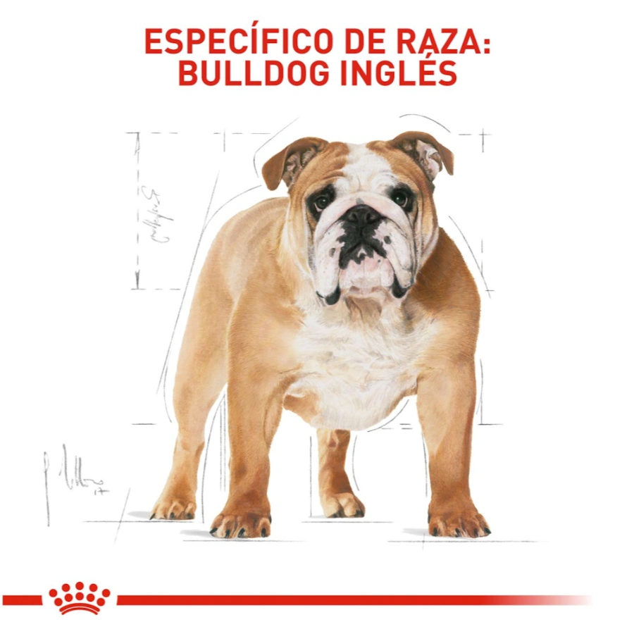 Royal Canin Perro Bhn Bulldog Adult 3Kg, , large image number null