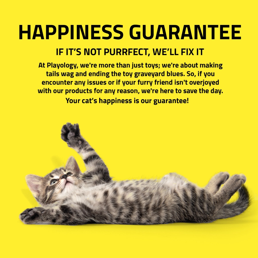 Playology Cat Centipede, , large image number null