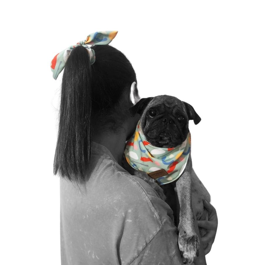 Yupi the pug bandana match, , large image number null