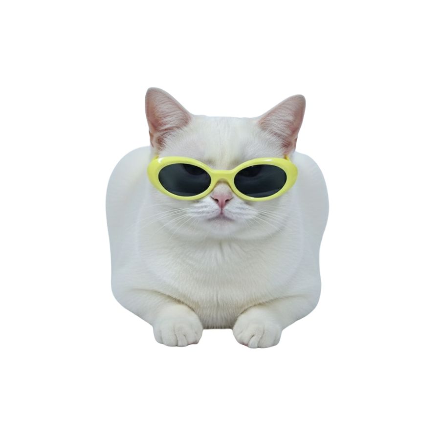 Lentes colores varios para perros (8.5cm), , large image number null