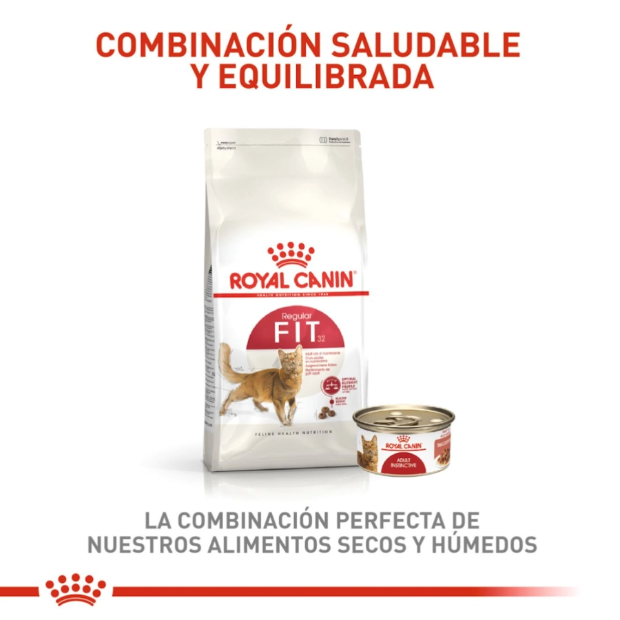 Royal Canin Gato Fhn Fit 32 2 Kg, , large image number null