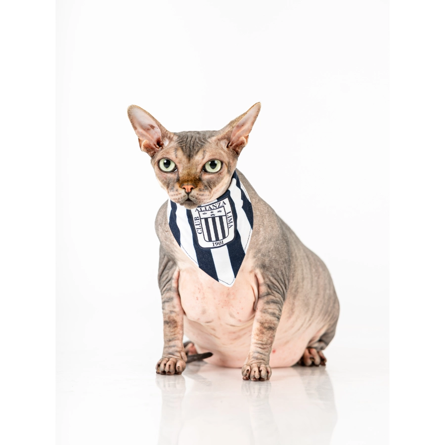 Bandana Oficial Colecci&oacute;n 2026 Alianza Lima, , large image number null
