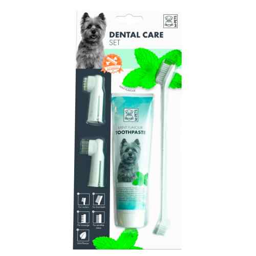 Set dental sabor menta