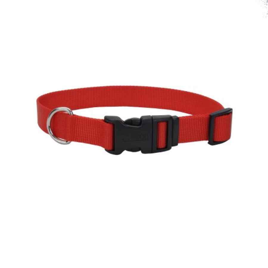 Coastal Collar Nylon Small 5/8" X 14' Rojo
