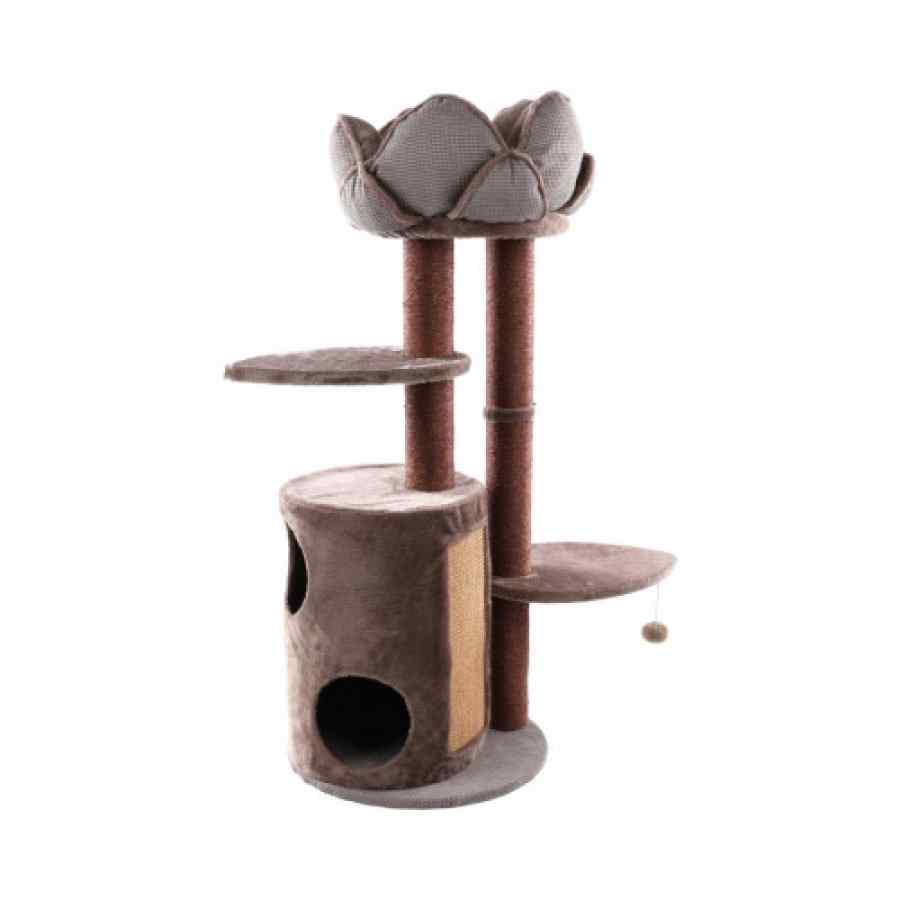 Gimnasio Rascador Mand Lotus