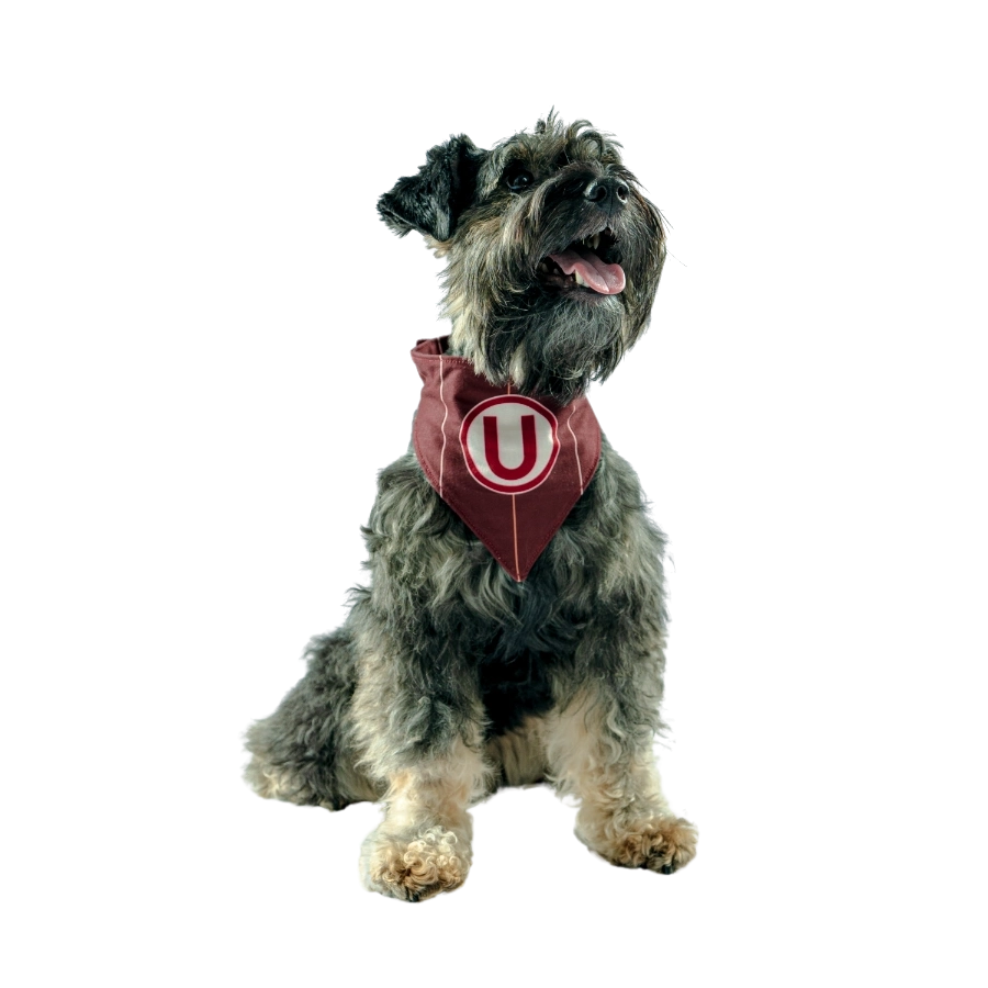 Bandana Alterna Universitario Colección 2025, , large image number null