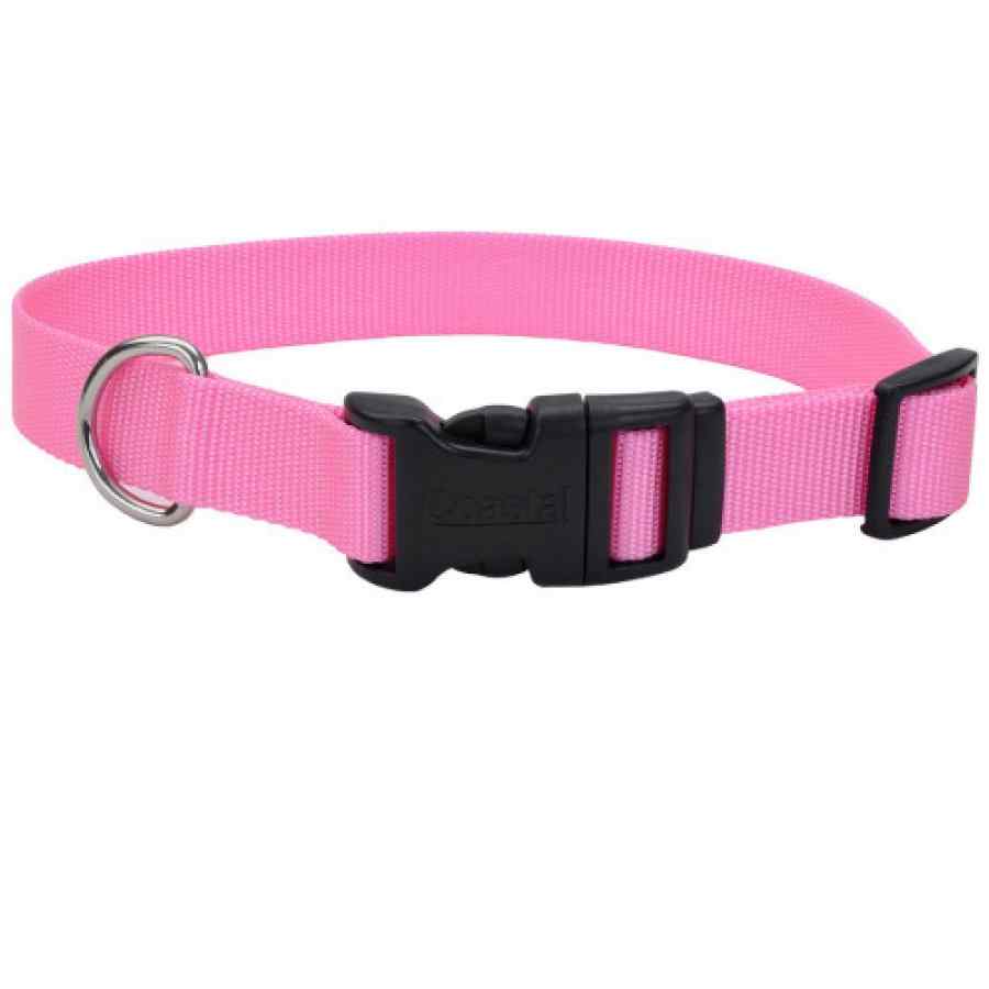 Coastal Collar Nylon Medium 3/4" X 20" Rosado, , large image number null