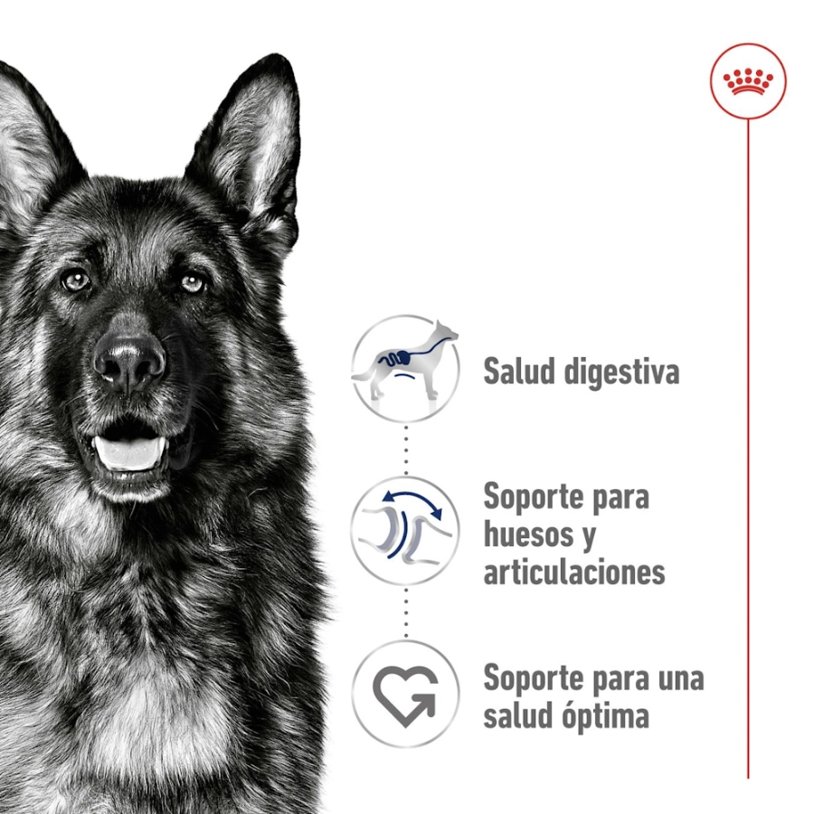 Royal Canin Perro Shn Maxi Adult 15 Kg, , large image number null