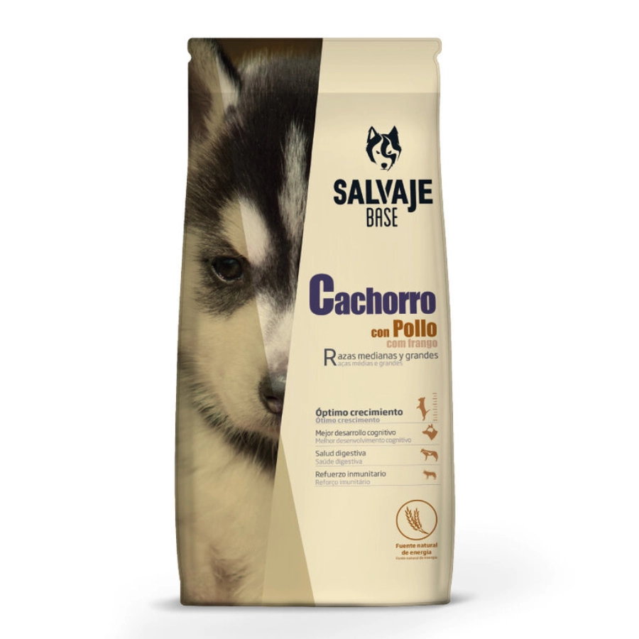 Salvaje Cachorro Con Pollo