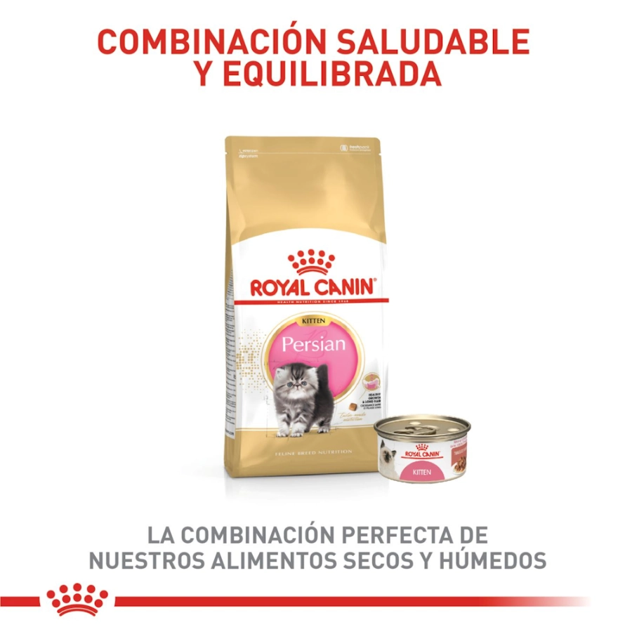 Royal Canin Gato Fbn Persian Kitten, , large image number null