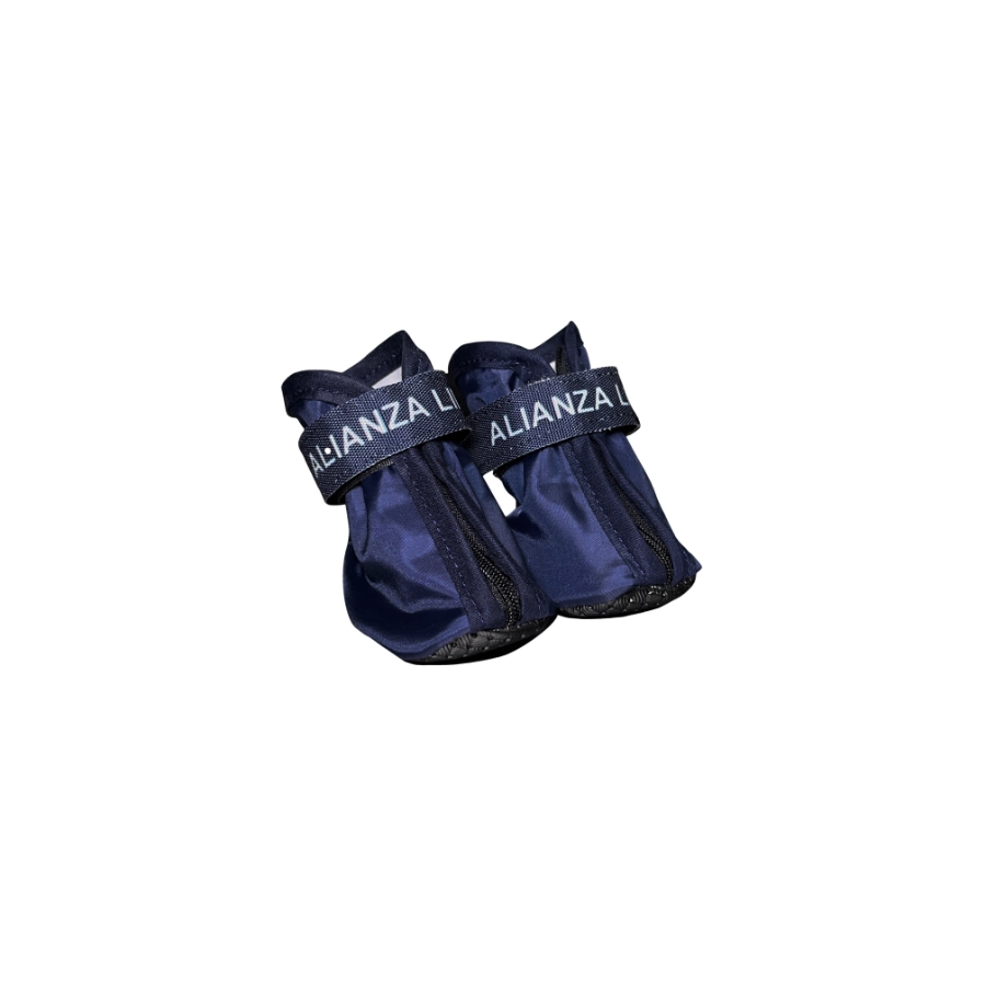 Zapato Oficial Alianza Lima, , large image number null