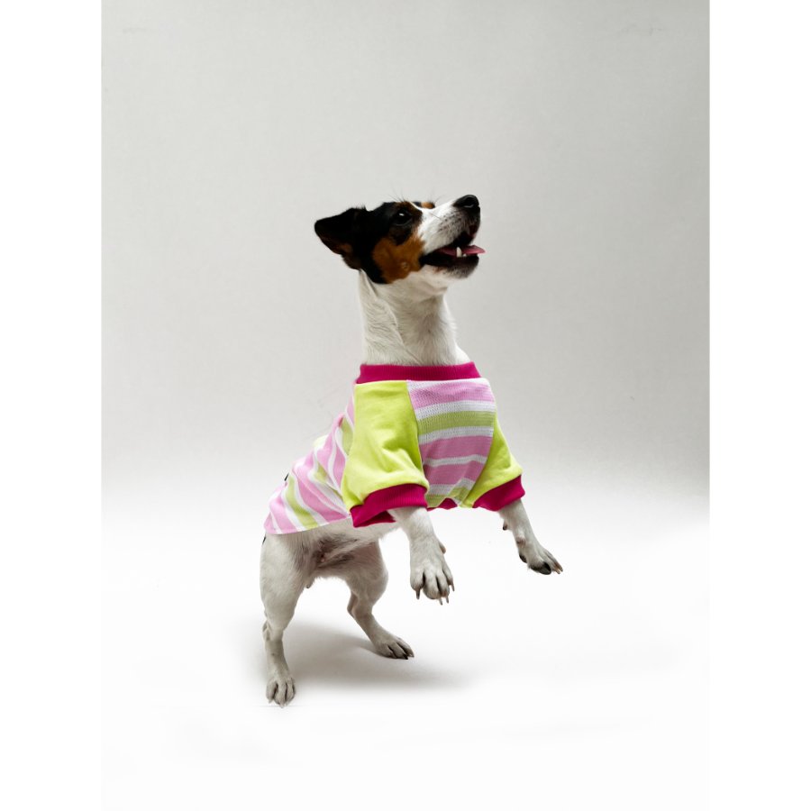 Yupi The Pug - Polo Surtido Hembra, , large image number null