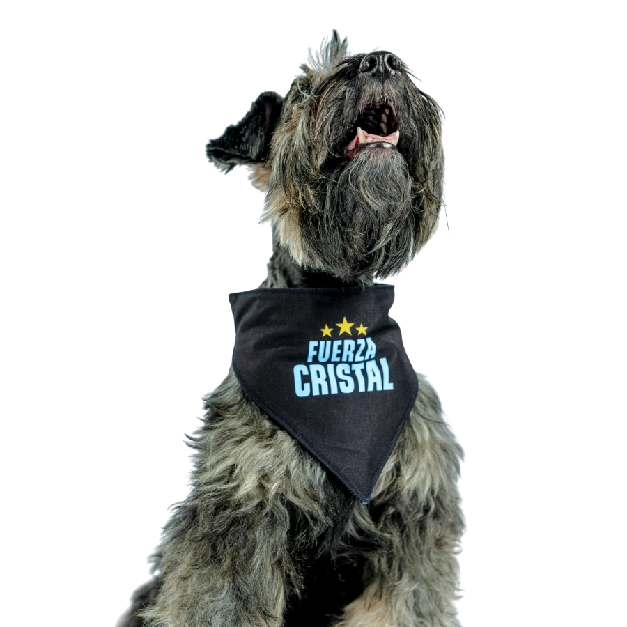 Bandana Alterna Sporting Cristal Colección 2025, , large image number null